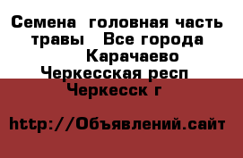 Семена (головная часть))) травы - Все города  »    . Карачаево-Черкесская респ.,Черкесск г.